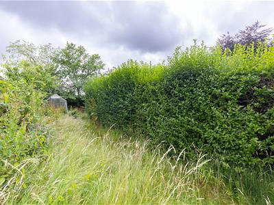 Picture 43